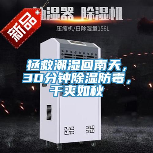 拯救潮濕回南天，30分鐘除濕防霉，干爽如秋