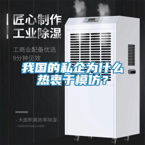 我國的私企為什么熱衷于模仿？