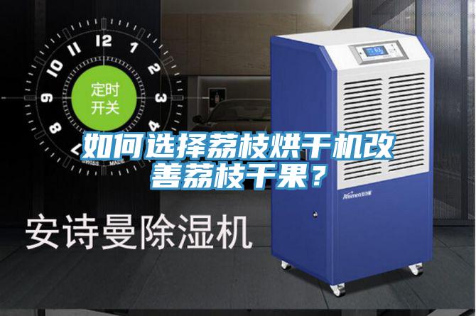如何選擇荔枝烘干機(jī)改善荔枝干果？