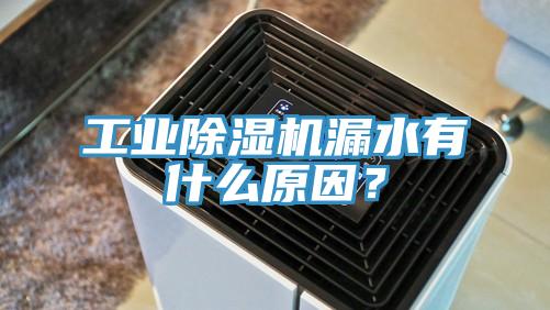 工業(yè)除濕機(jī)漏水有什么原因？