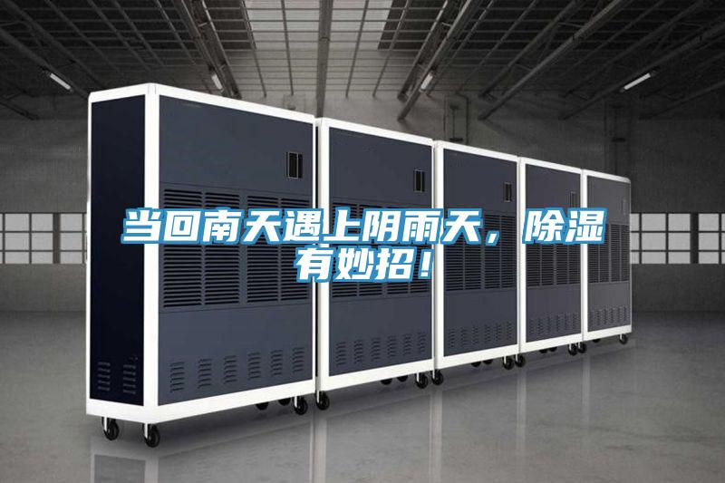 當(dāng)回南天遇上陰雨天，除濕有妙招！