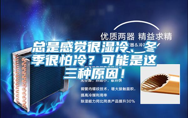 總是感覺(jué)很濕冷、冬季很怕冷？可能是這三種原因！