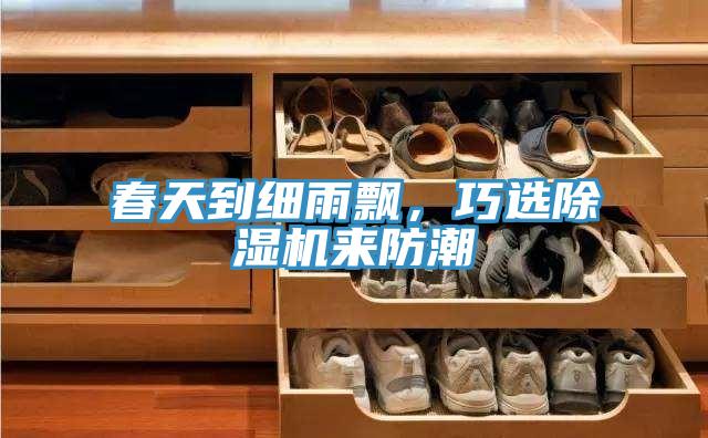 春天到細(xì)雨飄，巧選除濕機(jī)來(lái)防潮