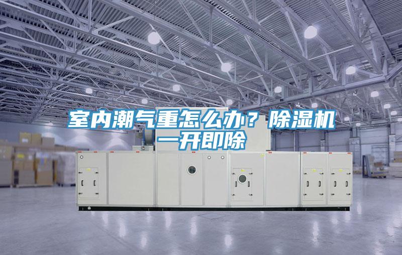 室內(nèi)潮氣重怎么辦？除濕機一開即除