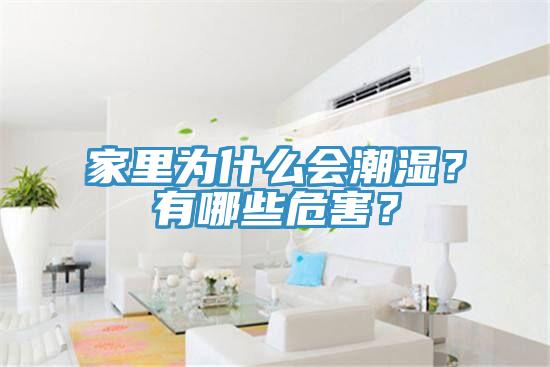 家里為什么會潮濕？有哪些危害？