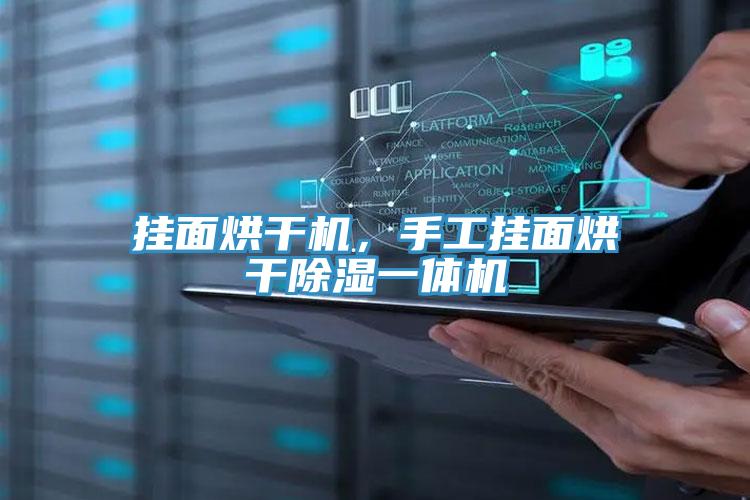 掛面烘干機，手工掛面烘干除濕一體機