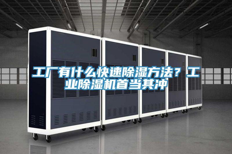 工廠有什么快速除濕方法？工業(yè)除濕機(jī)首當(dāng)其沖