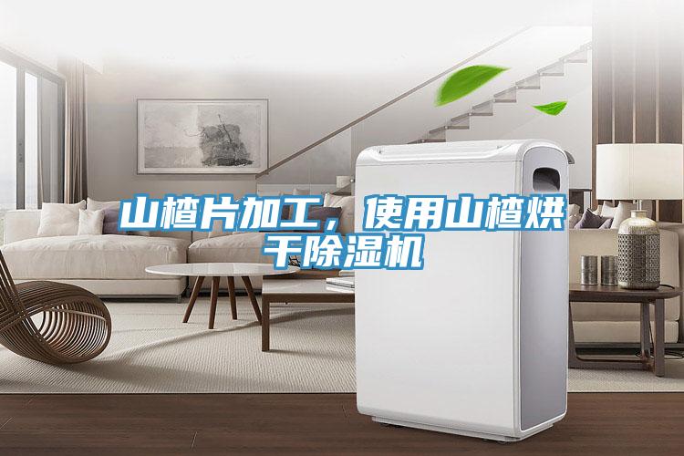 山楂片加工，使用山楂烘干除濕機