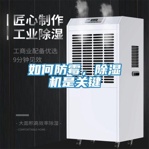 如何防霉，除濕機是關(guān)鍵