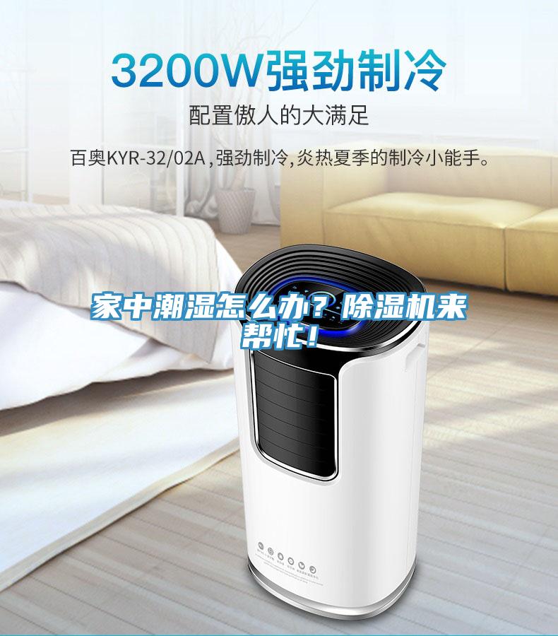 家中潮濕怎么辦？除濕機來幫忙！