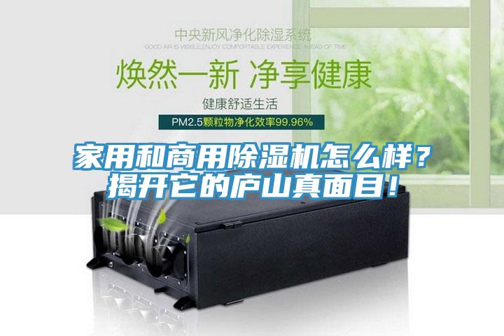 家用和商用除濕機(jī)怎么樣？揭開它的廬山真面目！