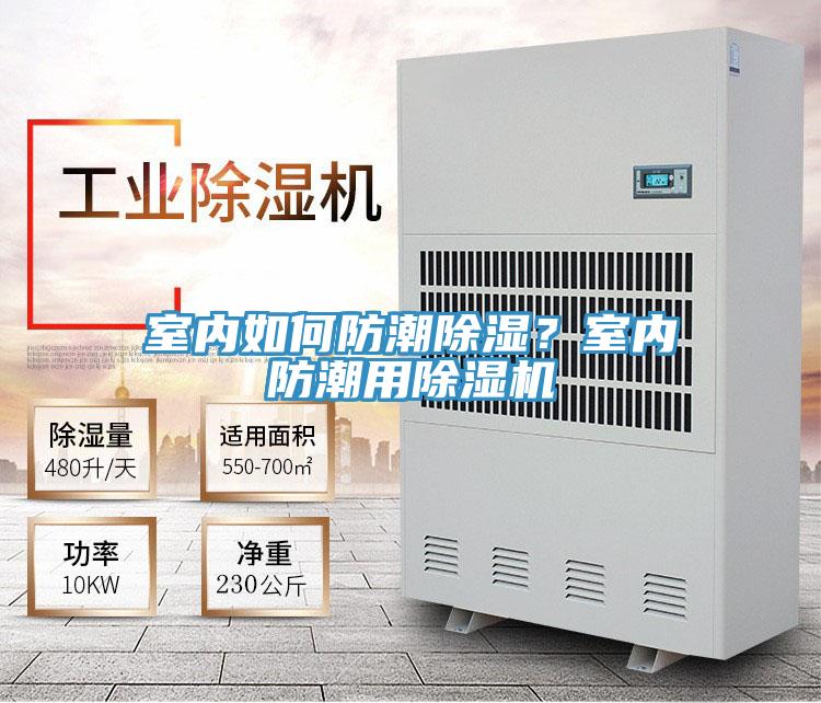室內(nèi)如何防潮除濕？室內(nèi)防潮用除濕機