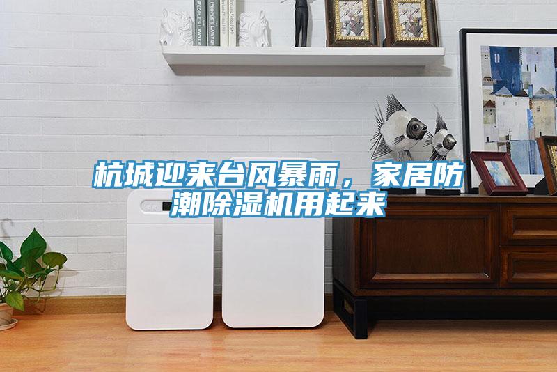 杭城迎來(lái)臺(tái)風(fēng)暴雨，家居防潮除濕機(jī)用起來(lái)