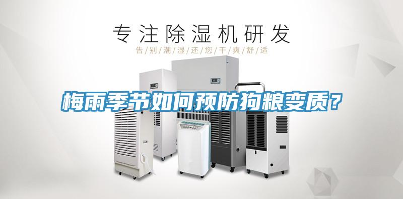 梅雨季節(jié)如何預防狗糧變質？