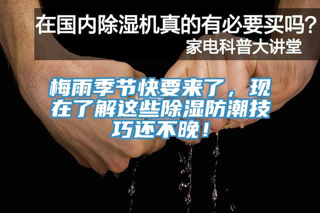 梅雨季節(jié)快要來了，現(xiàn)在了解這些除濕防潮技巧還不晚！