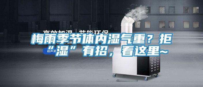 梅雨季節(jié)體內(nèi)濕氣重？拒“濕”有招，看這里~