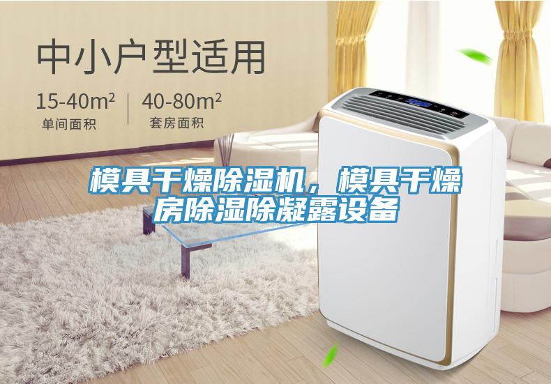 模具干燥除濕機(jī)，模具干燥房除濕除凝露設(shè)備