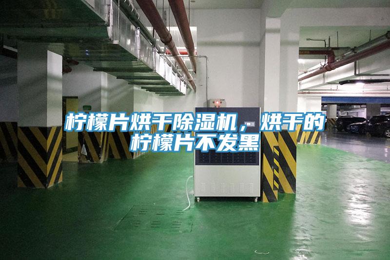 檸檬片烘干除濕機，烘干的檸檬片不發(fā)黑