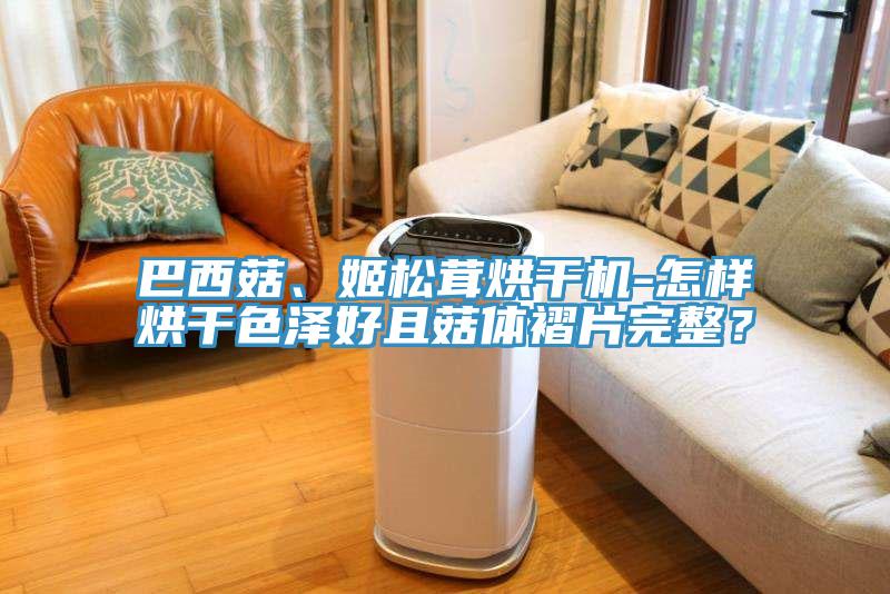 巴西菇、姬松茸烘干機-怎樣烘干色澤好且菇體褶片完整？
