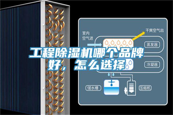 工程除濕機(jī)哪個(gè)品牌好，怎么選擇