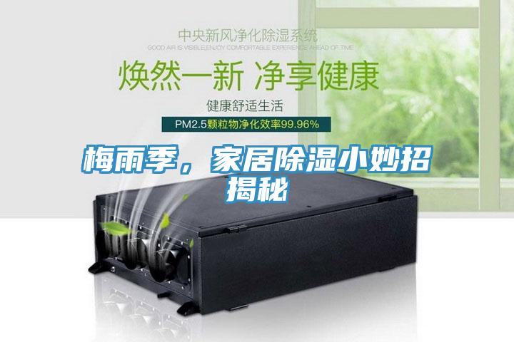 梅雨季，家居除濕小妙招揭秘