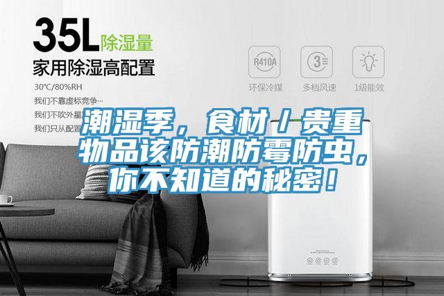潮濕季，食材／貴重物品該防潮防霉防蟲，你不知道的秘密！