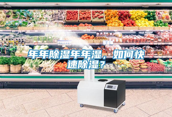 年年除濕年年濕，如何快速除濕？