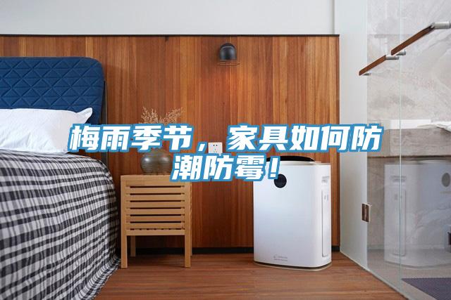 梅雨季節(jié)，家具如何防潮防霉！