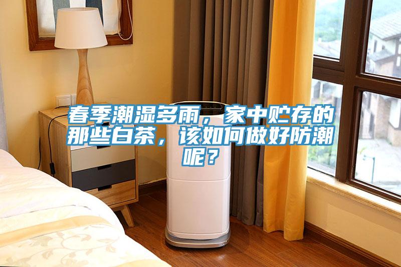 春季潮濕多雨，家中貯存的那些白茶，該如何做好防潮呢？