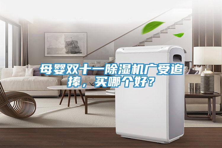 母嬰雙十一除濕機廣受追捧，買哪個好？