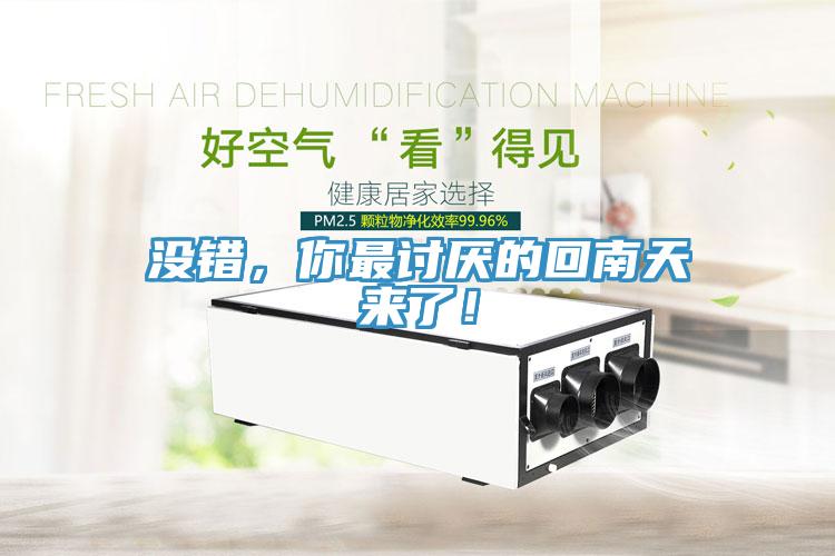 沒錯，你最討厭的回南天來了！