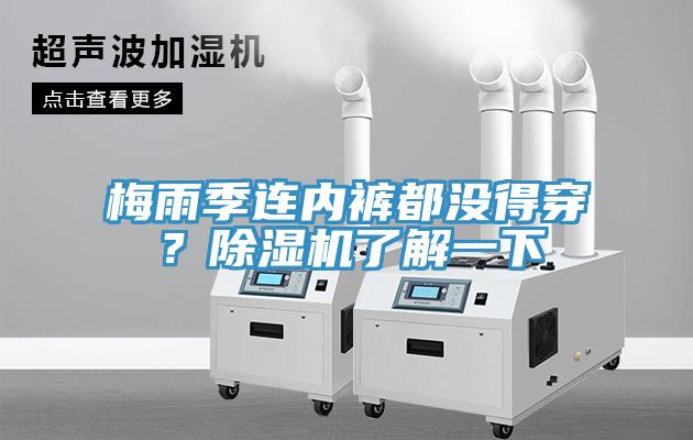 梅雨季連內(nèi)褲都沒得穿？除濕機了解一下