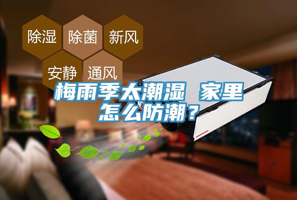 梅雨季太潮濕 家里怎么防潮？