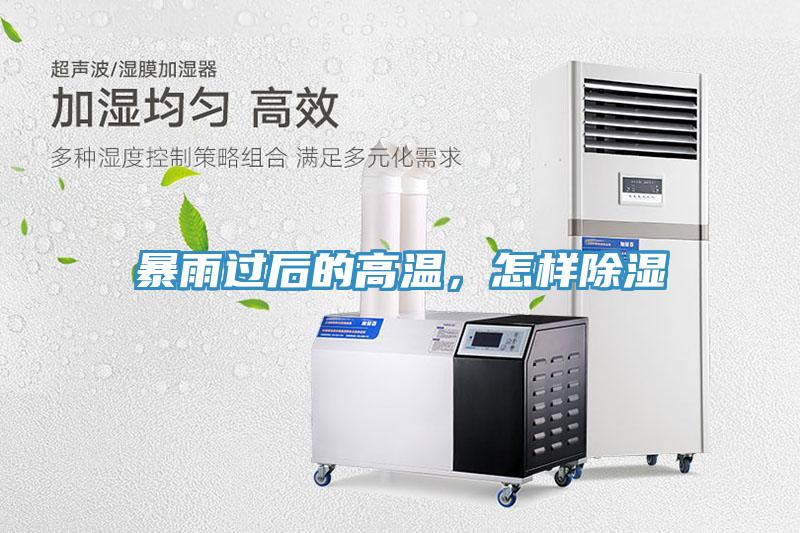 暴雨過后的高溫，怎樣除濕