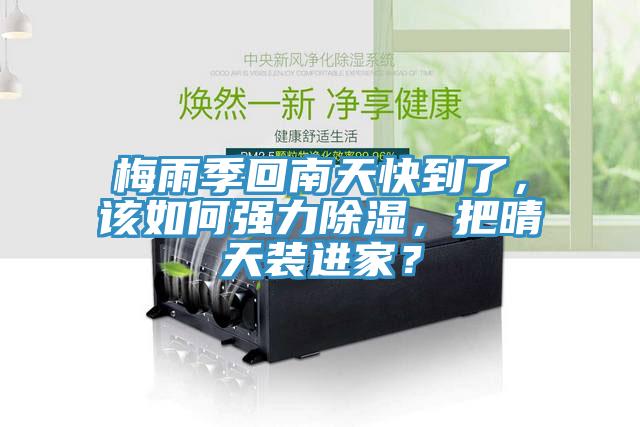 梅雨季回南天快到了，該如何強(qiáng)力除濕，把晴天裝進(jìn)家？