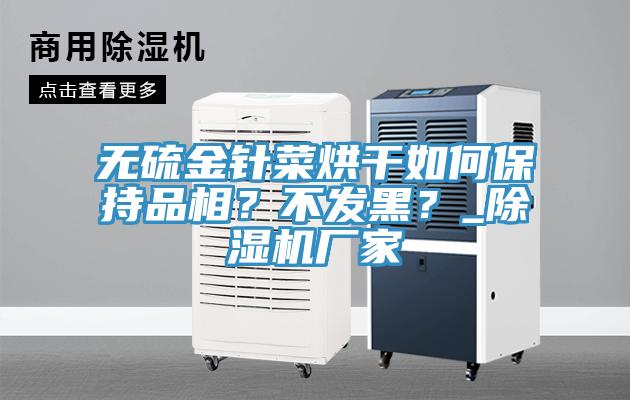無硫金針菜烘干如何保持品相？不發(fā)黑？_除濕機(jī)廠家