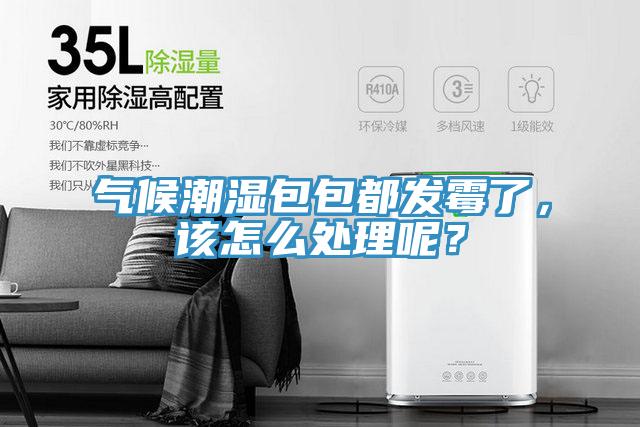 氣候潮濕包包都發(fā)霉了，該怎么處理呢？