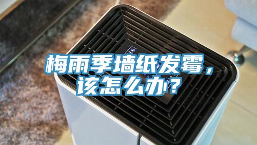 梅雨季墻紙發(fā)霉，該怎么辦？