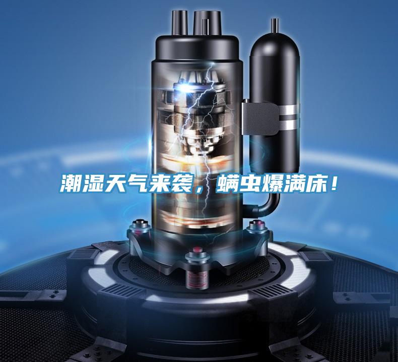 潮濕天氣來襲，螨蟲爆滿床！