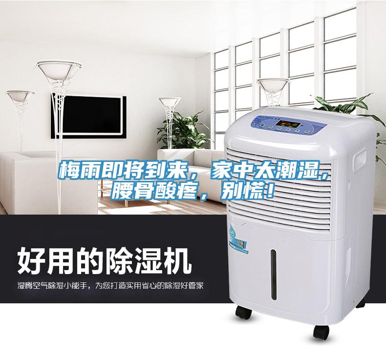 梅雨即將到來，家中太潮濕，腰骨酸疼，別慌！