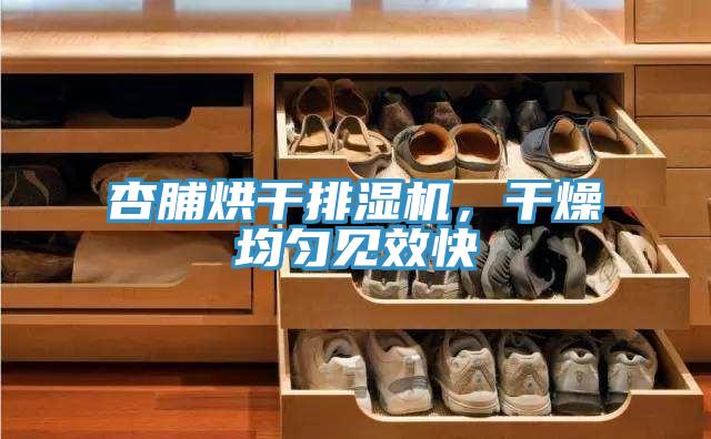 杏脯烘干排濕機(jī)，干燥均勻見效快