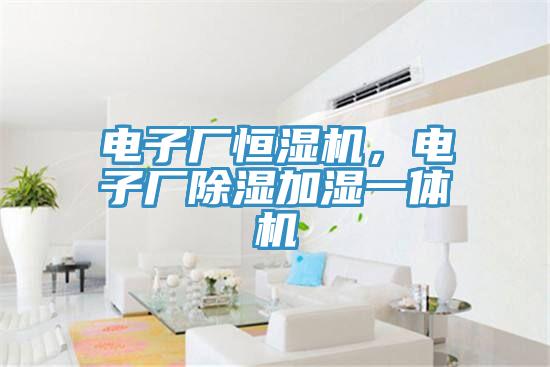 電子廠恒濕機，電子廠除濕加濕一體機
