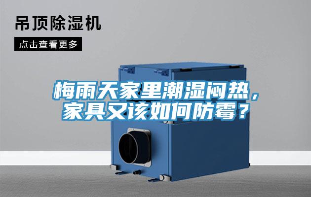 梅雨天家里潮濕悶熱，家具又該如何防霉？