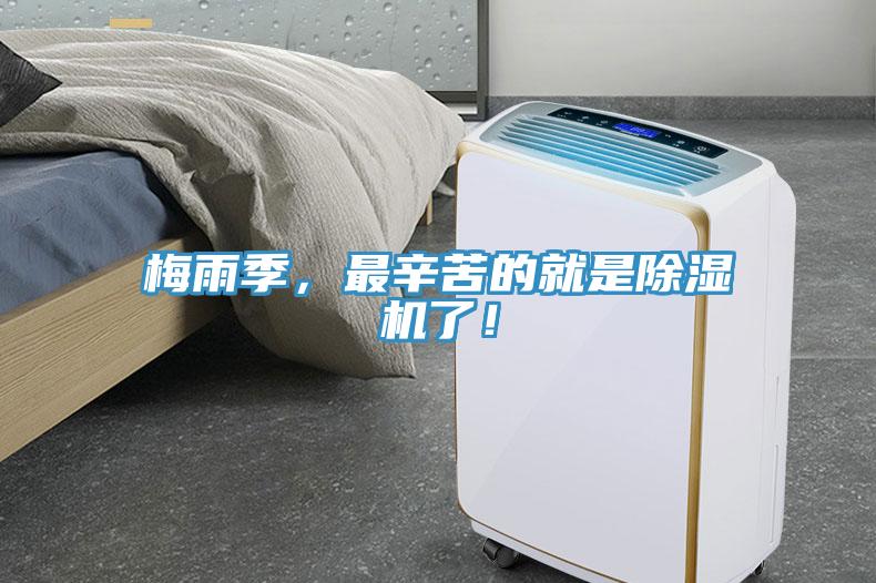 梅雨季，最辛苦的就是除濕機(jī)了！