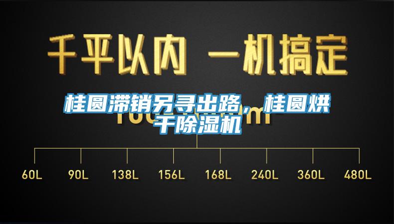 桂圓滯銷另尋出路，桂圓烘干除濕機
