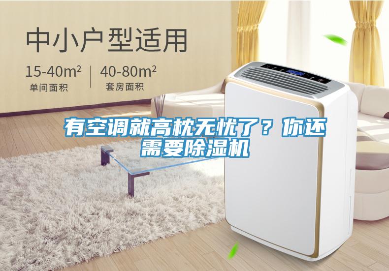 有空調(diào)就高枕無憂了？你還需要除濕機(jī)