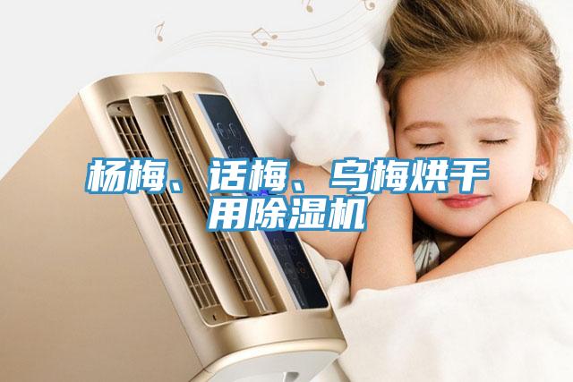 楊梅、話梅、烏梅烘干用除濕機(jī)