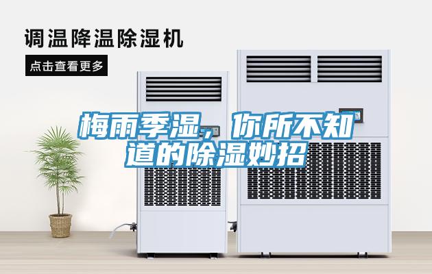 梅雨季濕，你所不知道的除濕妙招