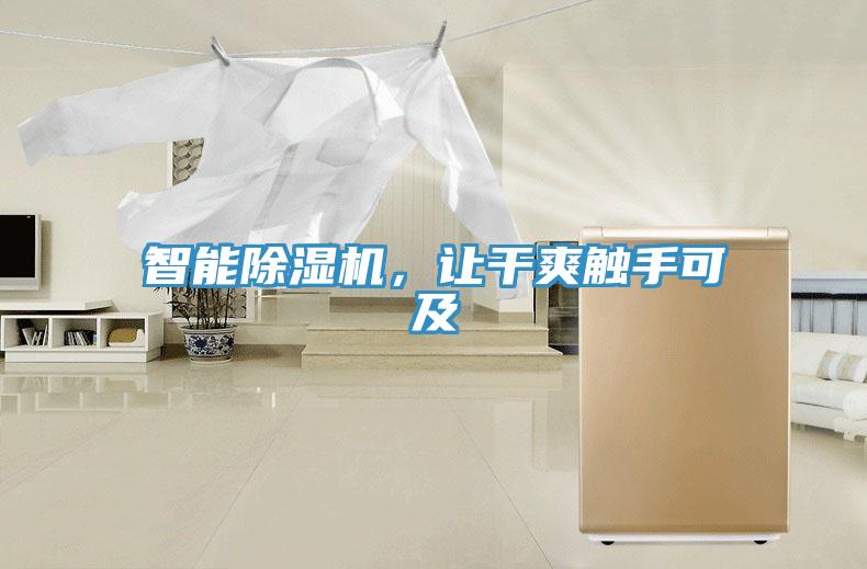 智能除濕機，讓干爽觸手可及