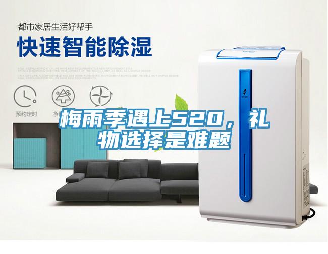 梅雨季遇上520，禮物選擇是難題